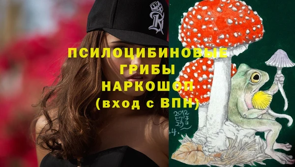 apvp Михайловка